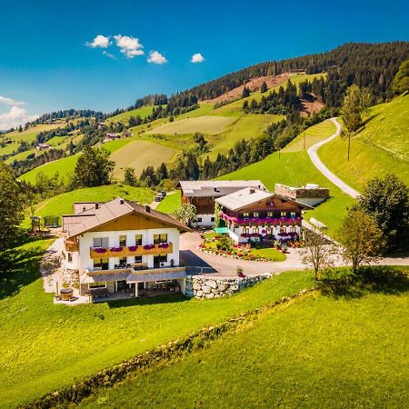 ザンクト・ヨーハン・イム・ポンガウLindbichlhof Urlaub Am Bio Bauernhofアパートメント エクステリア 写真