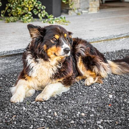 ザンクト・ヨーハン・イム・ポンガウLindbichlhof Urlaub Am Bio Bauernhofアパートメント エクステリア 写真