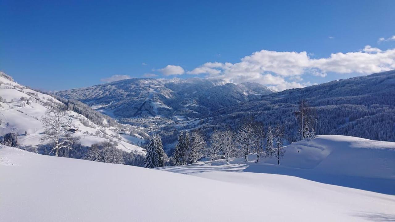 ザンクト・ヨーハン・イム・ポンガウLindbichlhof Urlaub Am Bio Bauernhofアパートメント エクステリア 写真