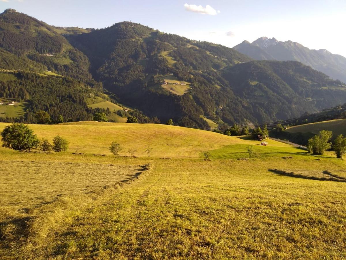 ザンクト・ヨーハン・イム・ポンガウLindbichlhof Urlaub Am Bio Bauernhofアパートメント エクステリア 写真