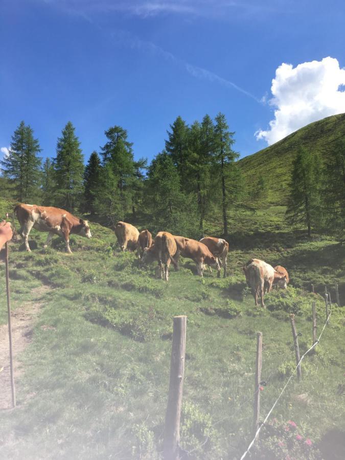 ザンクト・ヨーハン・イム・ポンガウLindbichlhof Urlaub Am Bio Bauernhofアパートメント エクステリア 写真