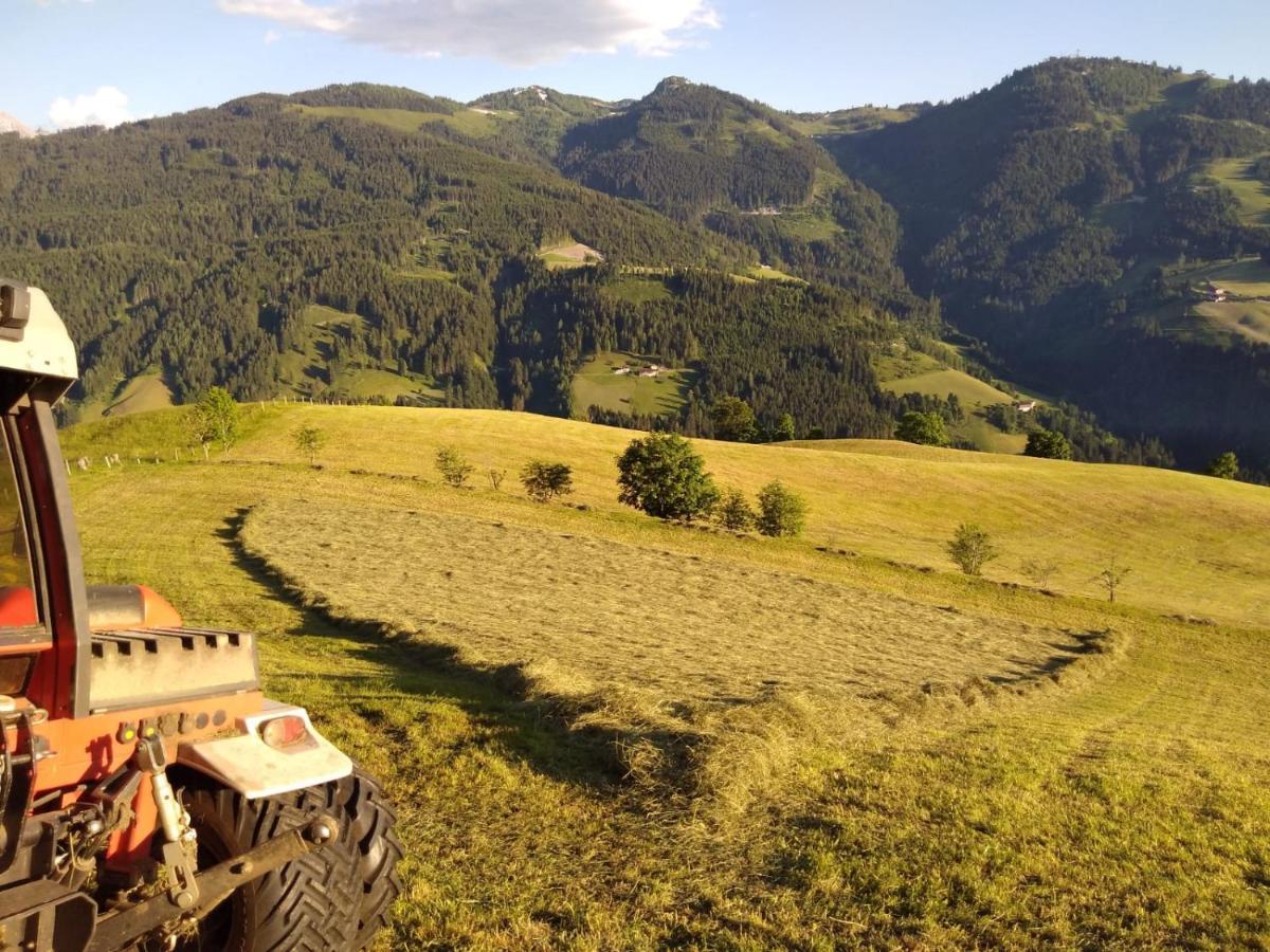 ザンクト・ヨーハン・イム・ポンガウLindbichlhof Urlaub Am Bio Bauernhofアパートメント エクステリア 写真