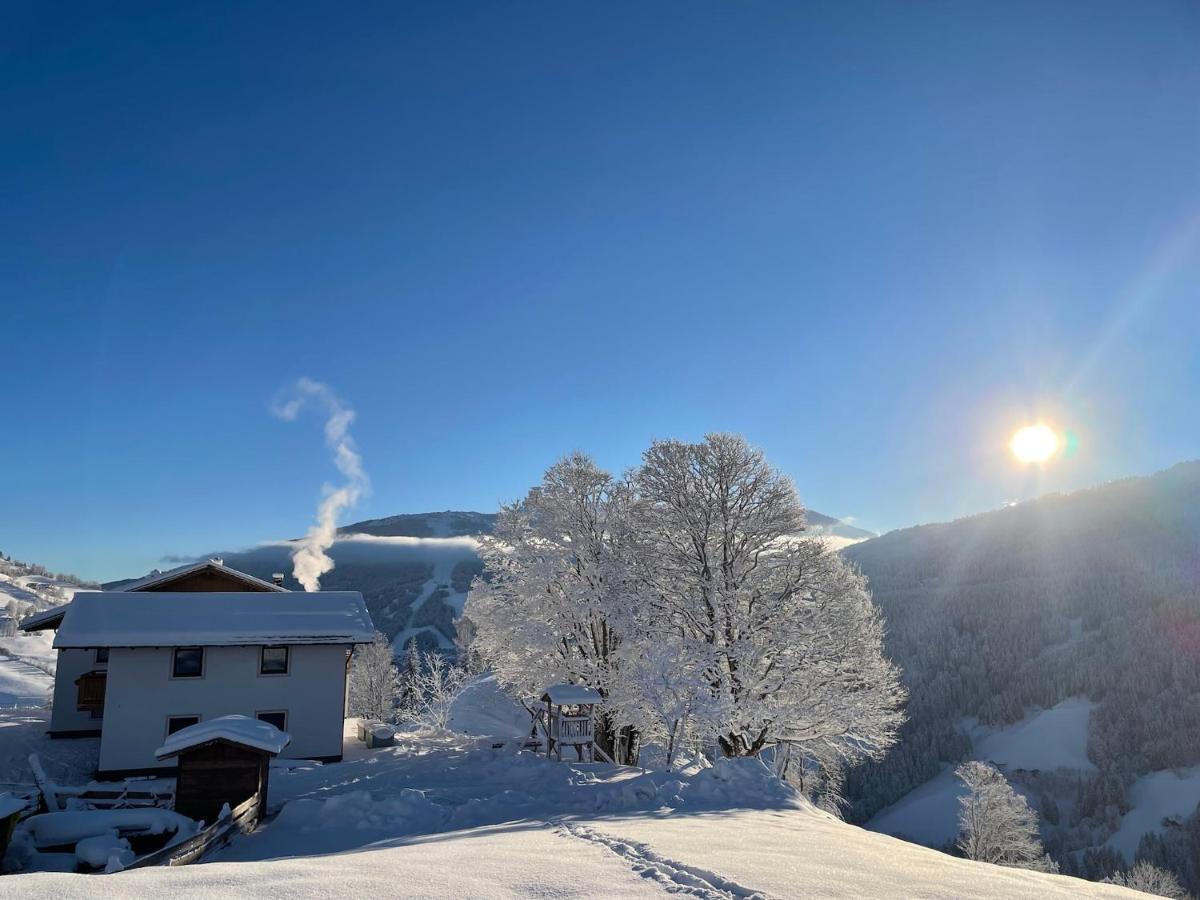 ザンクト・ヨーハン・イム・ポンガウLindbichlhof Urlaub Am Bio Bauernhofアパートメント エクステリア 写真