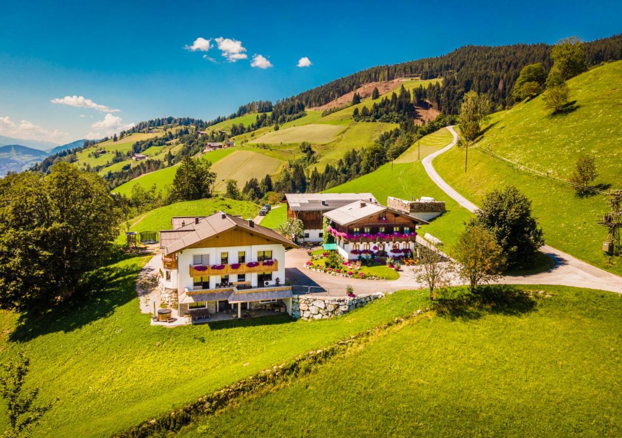 ザンクト・ヨーハン・イム・ポンガウLindbichlhof Urlaub Am Bio Bauernhofアパートメント エクステリア 写真