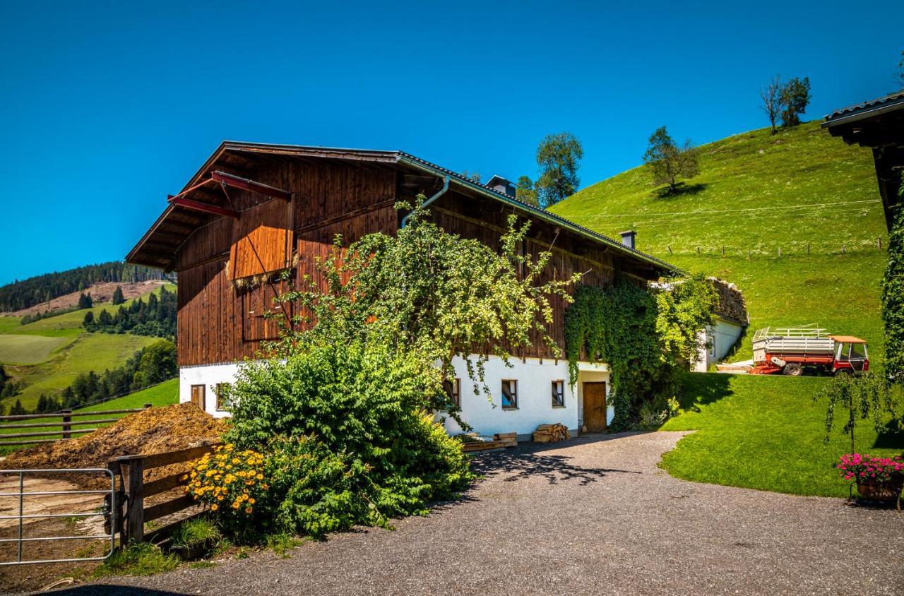 ザンクト・ヨーハン・イム・ポンガウLindbichlhof Urlaub Am Bio Bauernhofアパートメント エクステリア 写真