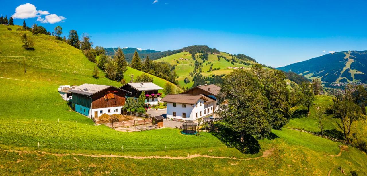 ザンクト・ヨーハン・イム・ポンガウLindbichlhof Urlaub Am Bio Bauernhofアパートメント エクステリア 写真