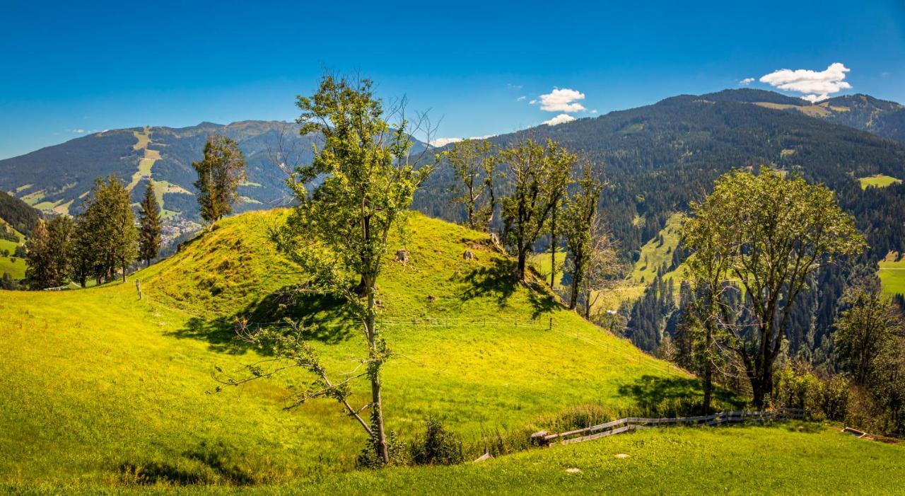 ザンクト・ヨーハン・イム・ポンガウLindbichlhof Urlaub Am Bio Bauernhofアパートメント エクステリア 写真