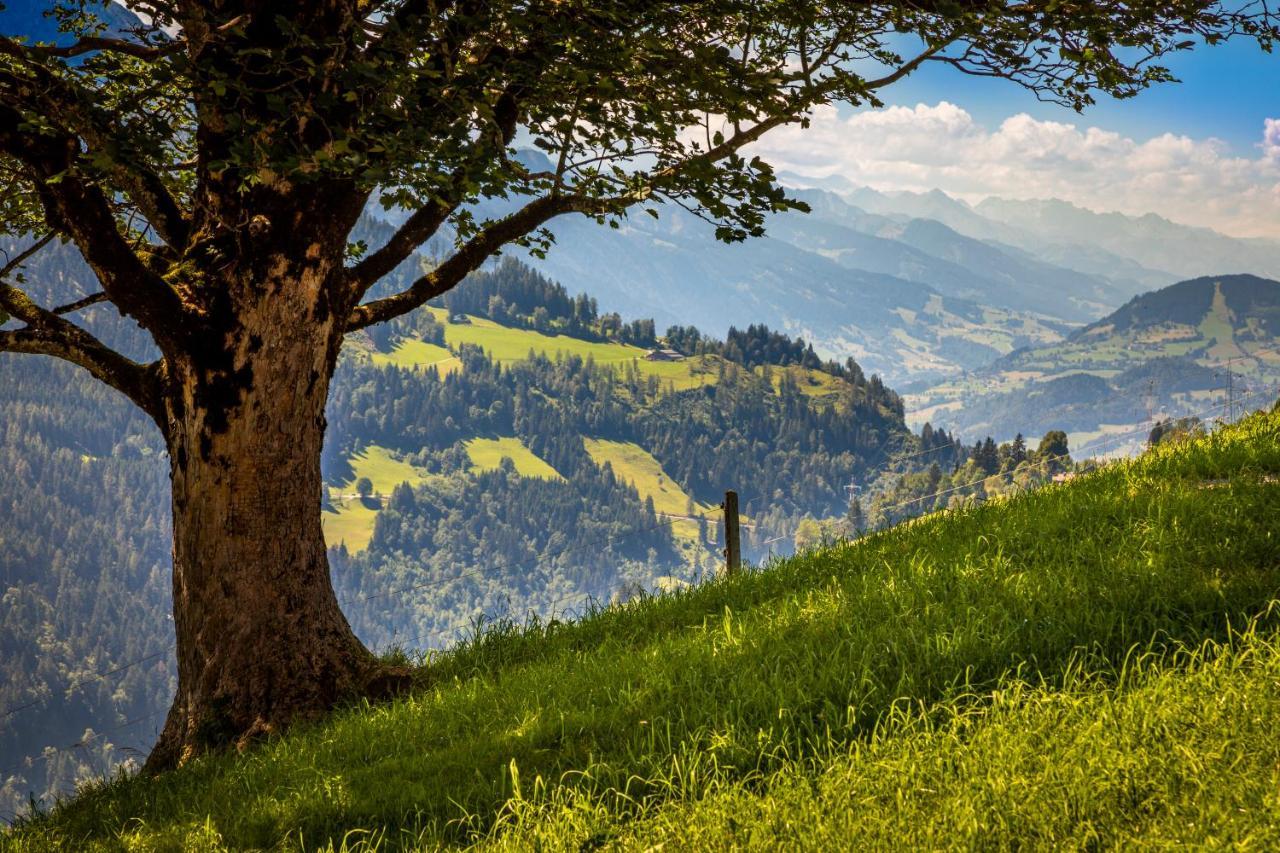 ザンクト・ヨーハン・イム・ポンガウLindbichlhof Urlaub Am Bio Bauernhofアパートメント エクステリア 写真