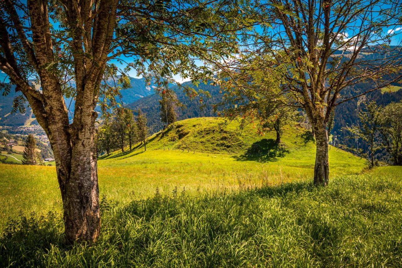 ザンクト・ヨーハン・イム・ポンガウLindbichlhof Urlaub Am Bio Bauernhofアパートメント エクステリア 写真